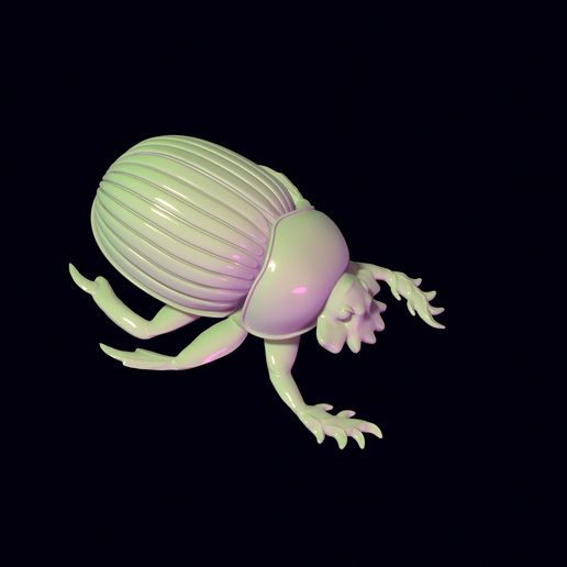 06.jpg Brinquedo escaravelho