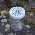 Piège-à-frelons-photo-Lorenzo.jpg Free STL file Hornet trap for glass jars・3D printer design to download