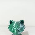 WhatsApp-Image-2023-05-25-at-7.39.35-AM.jpeg Archivo STL Nice flexi raccoon・Objeto de impresión 3D para descargar