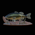 bass-na-podstavci-3.png bass 2.0 underwater statue detailed texture for 3d printing