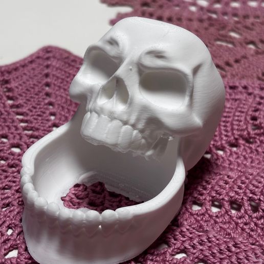 Human Skull - Anatomical Style Desk Skull