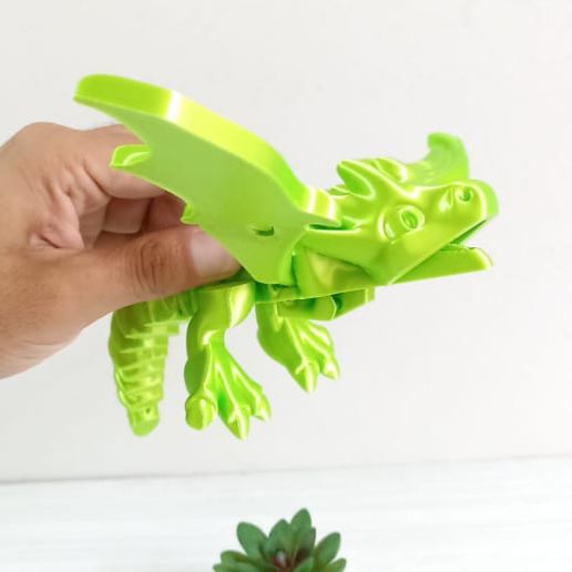 WhatsApp-Image-2024-05-10-at-8.59.16-AM-2.jpeg Little Flying Dragon