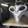 IMG_8520.jpeg Alien Head Mask (The Grays)