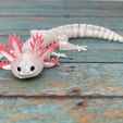 IMG_3994.jpg Free STL file ARTICULATED AXOLOTL - PRINT-IN-PLACE ARTICULATED REALISTIC AXOLOTL・3D printable model to download
