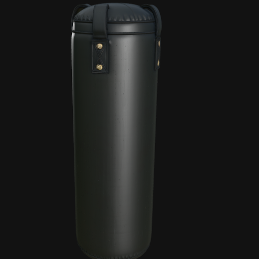 imagem_2026-09-03_134907415.png Realistic Punching Bag 3D Model