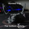 Horned-frog_front.jpg Horned frog