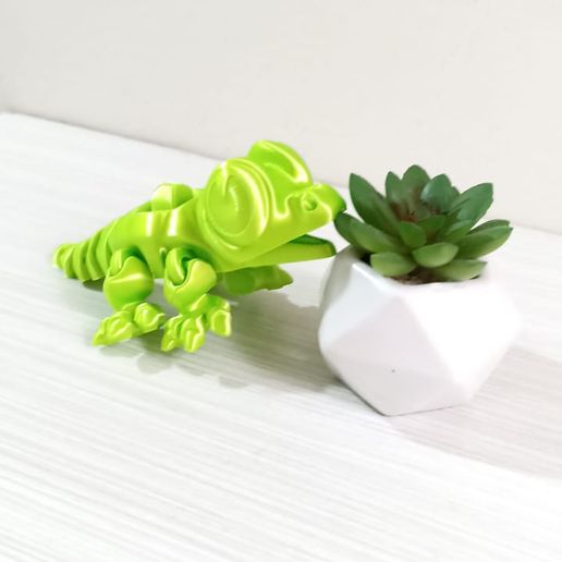 WhatsApp-Image-2024-04-04-at-7.23.48-AM-5.jpeg Baby Flexi Crocodile