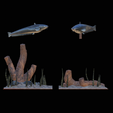 sumec-podstavec-standard-quality-1-18.png two catfish scenery in underwather for 3d print detailed texture
