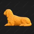 1075-Basset_Griffon_Vendeen_Petit_Pose_09.jpg Basset Griffon Vendeen Petit Dog 3D Print Model Pose 09