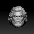 Main.jpg Aquaman - Headsculpt for Action Figures 3D print model