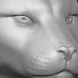 20.jpg Cougar / Mountain Lion head for 3D printing