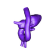 papvcheart2.stl 3D Model of Partial Anomalous Pulmonary Venous Connection