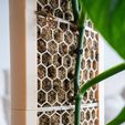 DSC01863-2.jpeg CLIMBIT HoneyComb — модульная система для выращивания мха на опорах с автополиванием (без опор, с возможностью штабелирования)