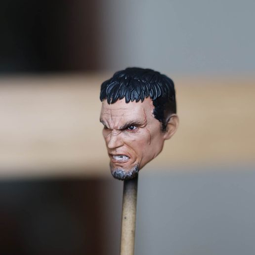 343047791_686539649908675_6325959910546991858_n.jpg General Zod michael shannon