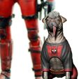 ZGrab13.jpg DOGPOOL