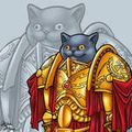 SheildCaptainTiddles