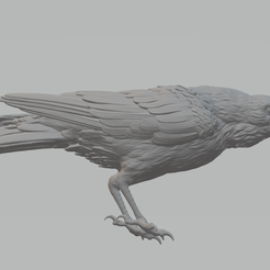 1.png Crow 3D Model 3D print model
