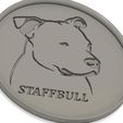 Staffbull.jpg Coaster with Bull Dog Breeds