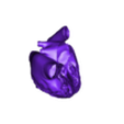 heart - asd - pslax.stl 3D Model of Heart wirh Atrioventricular Septal Defect, 4 chamber view