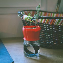 TOF-2.jpg Flowerpot T1