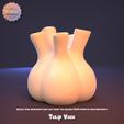 TV3.jpg Tulip Vase (supportless print)