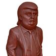 donald_trump_caricature_v04.jpg Donald Trump caricature (Bust) pour impression 3D