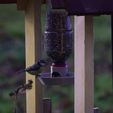 mangeoire-52.jpg Bird feeder with Fuze Tea bottle