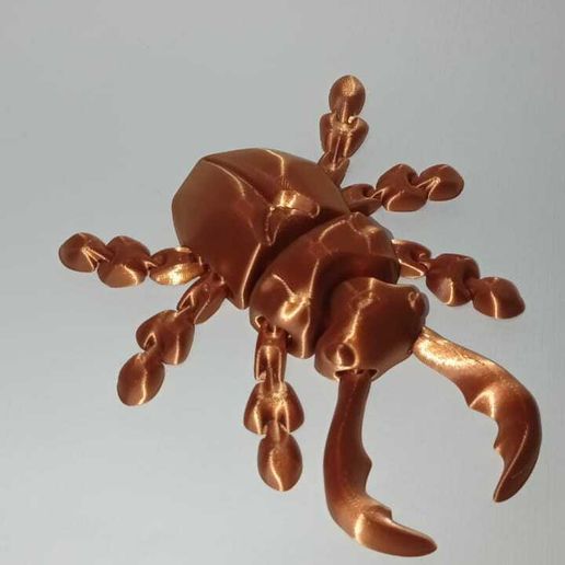 1f376ad1-f48c-44cf-a351-fa4aa98f8142.jpg small Flexi Beetle