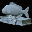 Dentex-mouth-statue-60.png fish Common dentex / dentex dentex open mouth statue detailed texture for 3d printing