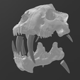 Screenshot-111.png Saber tooth skull HYBRID