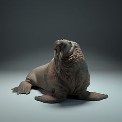 walrus4.jpg STL file Walrus・3D printing design to download, AnimalDenMiniatures