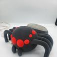 20240723_140531.jpg Док-станция Arachnodock Spider Dock для Google Home или Echo Dot