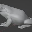 Capture2.jpg Whites Tree Frog