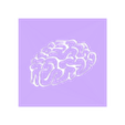 ImageToStl.com_brain-1.stl BRAIN - READY TO PRINT! 3D PRINTABLE STENCIL