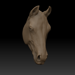 Horse-1.png Horse Head