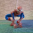 IMG_20221019_105950_678.jpg Spider-Man: Friend or Foe Complete Action Figure