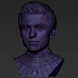 31.jpg Spider-Man Tom Holland bust 3D printing ready stl obj formats