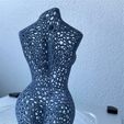 3.jpg Female Body Voronoi