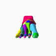 1.png SKELETON OF THE RIGHT FOOT 3D SEGMENTED - 28 PARTS