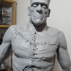 FRANK.JPG Frankenstein