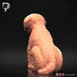 Bichon-Frise-Pose-05-Dog-3D-Print-6s.jpeg Bichon Frise Dog 3D Print Model Pose 05