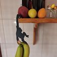 IMG_20230626_130102.jpg Bananenhalter für Affen