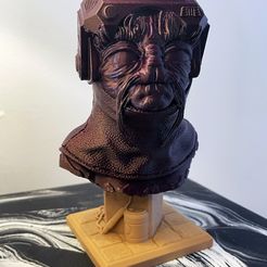 FDMprint.jpg Archivo STL Busto Babu Frik・Plan para descargar y imprimir en 3D