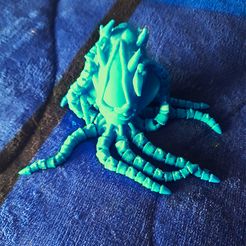 KRAKEN