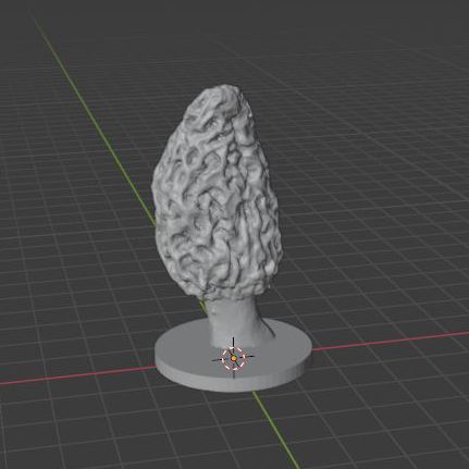 _SQ_F14-morel5.jpg morel #5