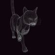 b.jpg CAT - DOWNLOAD CAT 3d model - animated for blender-fbx-unity-maya-unreal-c4d-3ds max - 3D printing CAT CAT - POKÉMON - FELINE - LION - TIGER