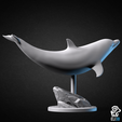 dolphin_back.png 3D file Dolphin - Animal・Design to download and 3D print