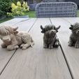 ac83b65f-fc00-4c11-9d85-e9bf4c7ac7a2.jpg Highland Herd – 6-Design Bundle