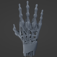 h1.png Hand muscle