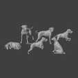 rhodesian_ridgeback_collection_2.png Ultimate Rhodesian Ridgeback STL Collection No.2